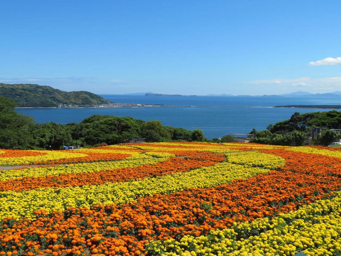 Nokonoshima Island Park – Colorful Flower Paradise in Hakata Bay