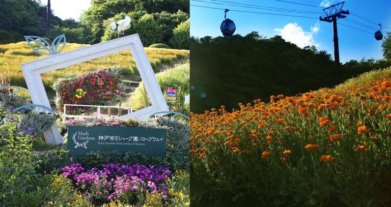 Nunobiki Herb Gardens – Kobe’s Scenic Mountain Herb Paradise