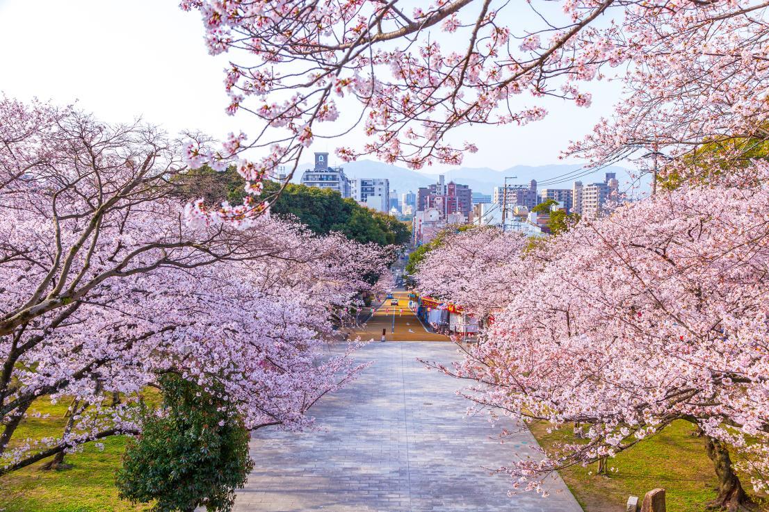 Ohori Park – Peaceful Urban Lake Park in the Heart of Fukuoka