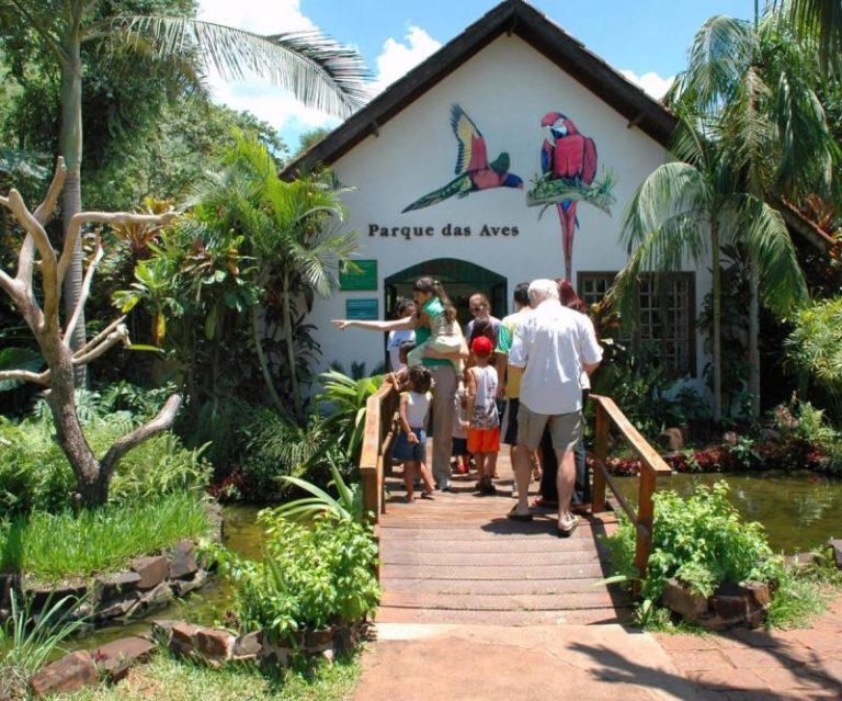 Parque das Aves – Brazil's Enchanting Bird Paradise Near Iguazu Falls