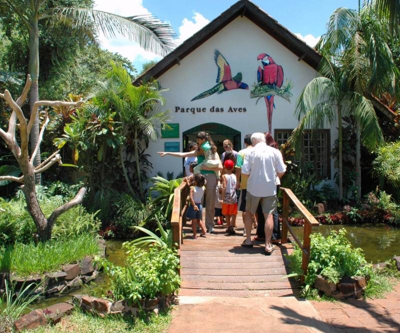 Parque das Aves – Brazil's Enchanting Bird Paradise Near Iguazu Falls