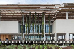 Pérez Art Museum Miami – Miami's Contemporary Canvas