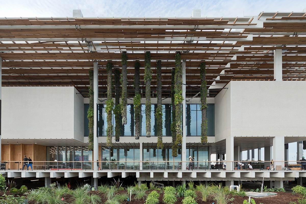 Pérez Art Museum Miami – Miami's Contemporary Canvas