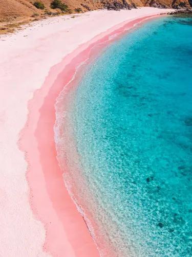 Pink Beach – The Rare Rose-Colored Paradise That Looks Almost Unreal