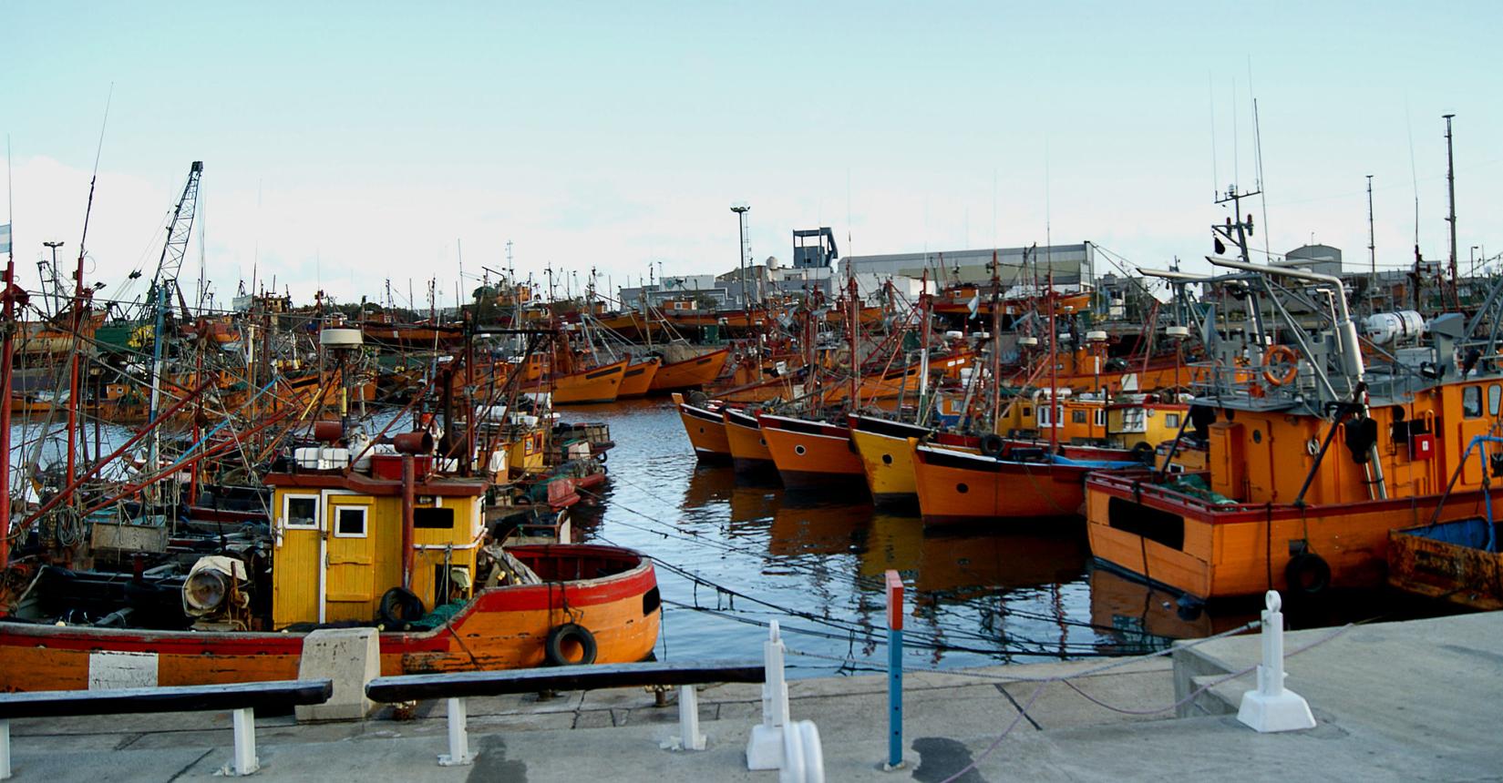 Puerto de Mar del Plata – Argentina’s Vibrant Harbor of Seafood, Sea Lions & Coastal Charm