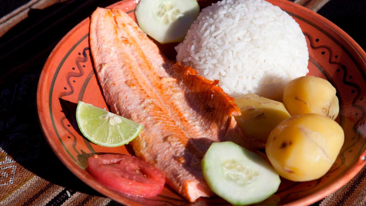 Puno Cuisine – A Flavorful Journey Through Peru’s Highland Traditions