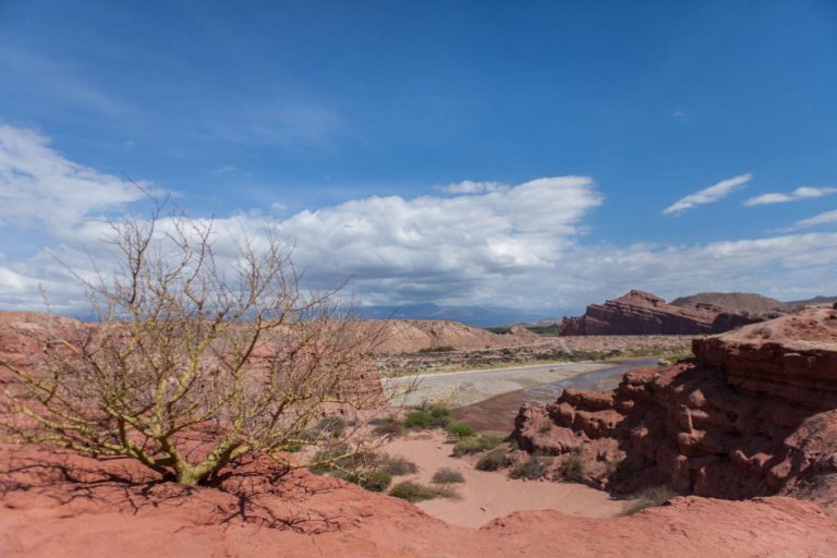 Quebrada de las Conchas – Argentina’s Spectacular Canyon of Red Rock Wonders