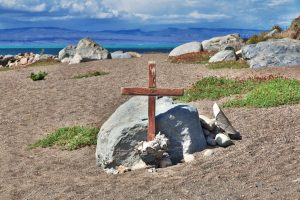 Reserva Laguna Nimez – Patagonia’s Hidden Wildlife Sanctuary in El Calafate