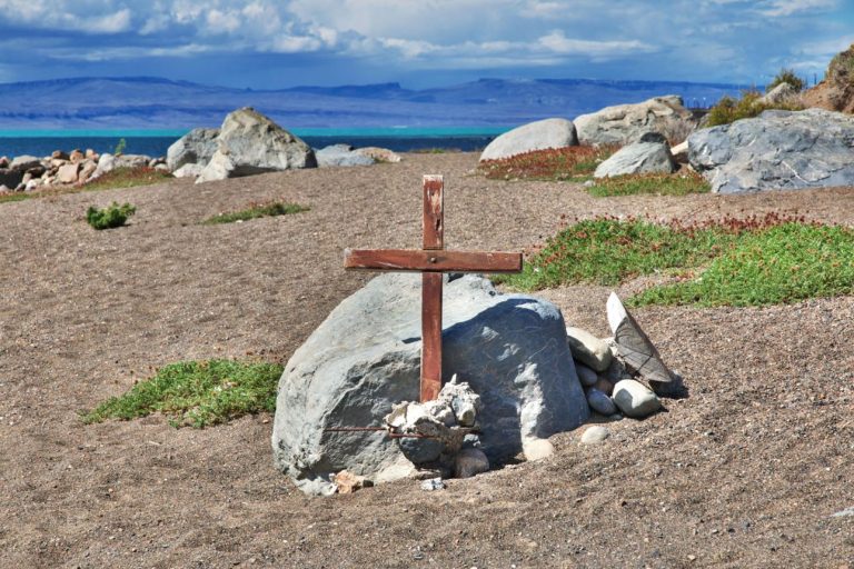 Reserva Laguna Nimez – Patagonia’s Hidden Wildlife Sanctuary in El Calafate