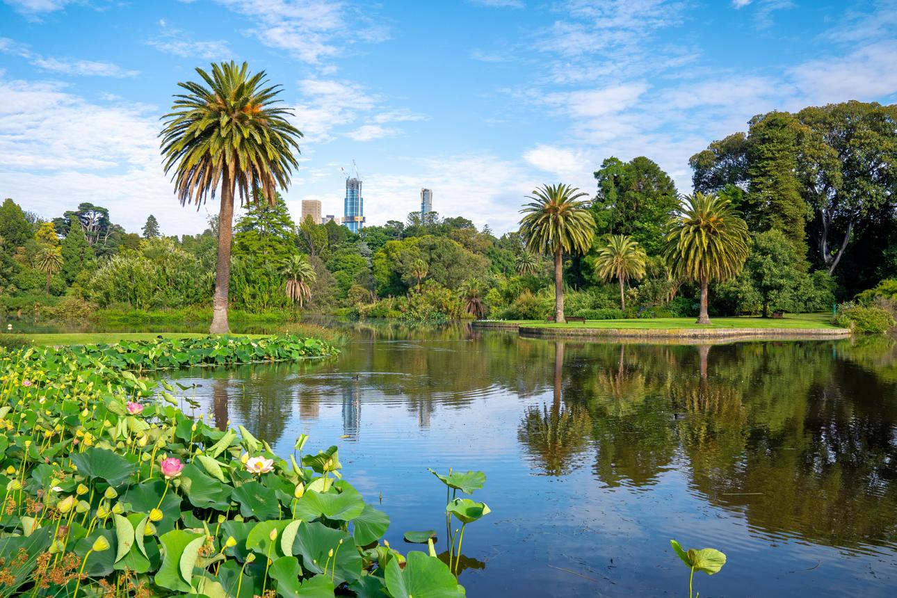 Royal Botanic Gardens Victoria – Melbourne’s Green Oasis Filled with Nature and Beauty