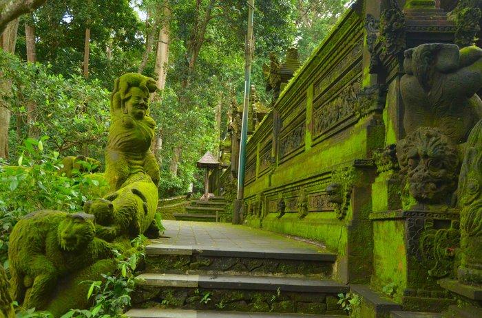 Sacred Monkey Forest Sanctuary – Ubud’s Enchanting Jungle of Monkeys, Temples & Nature