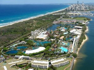 Sea World Gold Coast – Australia’s Ultimate Marine Adventure for Families