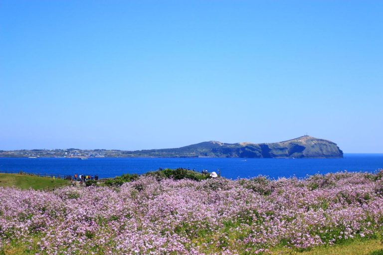 Seongsan Ilchulbong – Jeju’s Majestic Sunrise Peak of Volcanic Wonder, Ocean Views, Crater Trails, and Natural Heritage