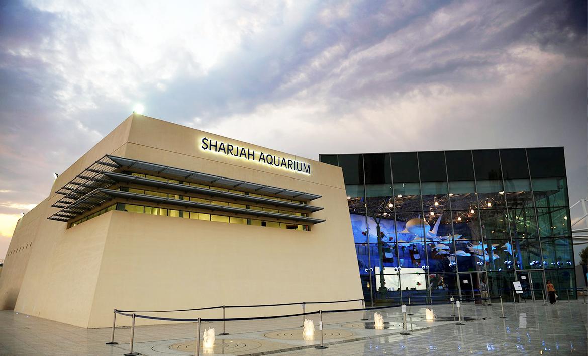 Sharjah Aquarium: Discover the Fascinating Marine World of the Arabian Gulf