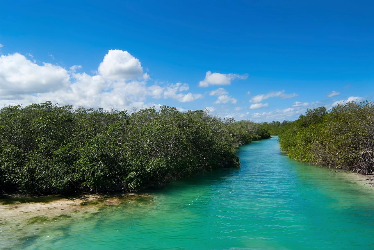 Sian Ka’an Reserve – Tulum’s Untamed Paradise
