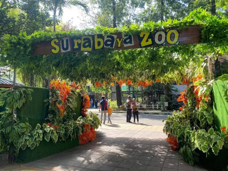 Surabaya Zoo – Discover Indonesia’s Historic Wildlife Destination
