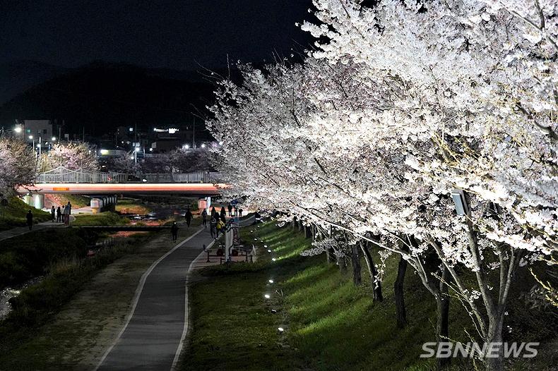 Suwoncheon Stream – Suwon’s Urban Riverside of Peaceful Waterways, Night Walk Reflections, Seasonal Nature, and Hidden City Relaxation Path