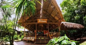 Tambopata Research Center – Peru’s Ultimate Amazon Wildlife Adventure