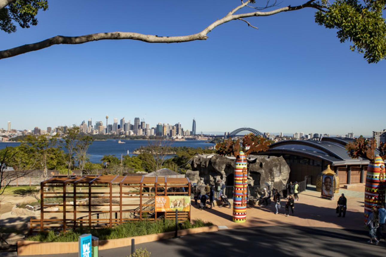 Taronga Zoo Sydney – Australia’s Ultimate Wildlife Adventure with Harbour Views