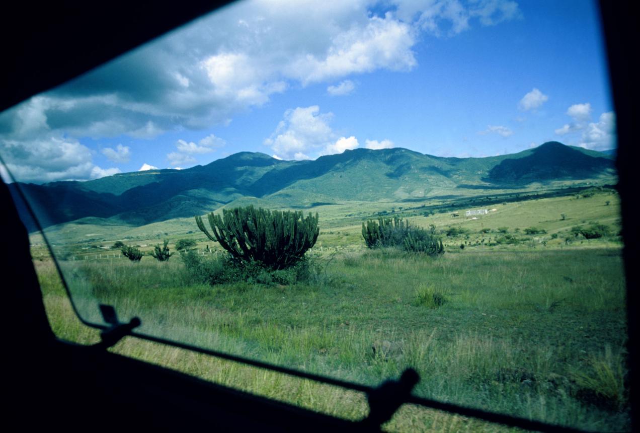 Teotitlán del Valle – Oaxaca’s Weaving Heritage