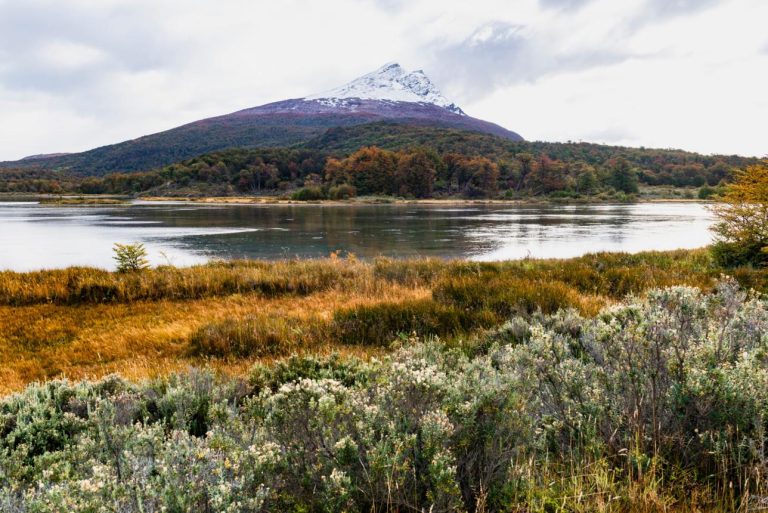 Tierra del Fuego National Park – Discover the Untamed Beauty at the End of the World