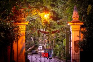 Tijuca National Park – Explore Rio's Hidden Urban Rainforest