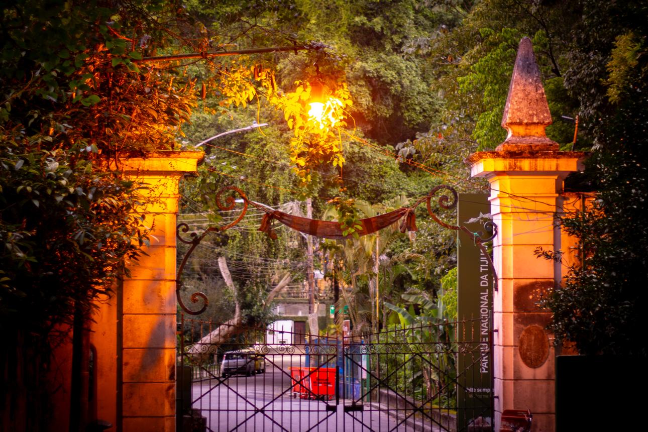 Tijuca National Park – Explore Rio's Hidden Urban Rainforest