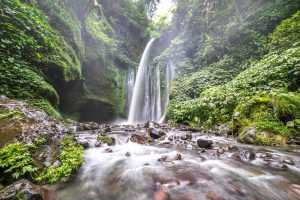 Tiu Kelep Waterfall – Lombok’s Hidden Jungle Waterfall Worth Every Step