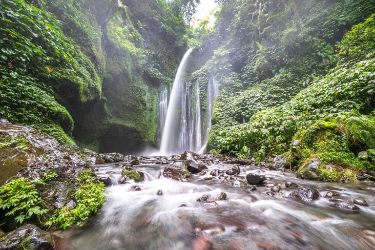 Tiu Kelep Waterfall – Lombok’s Hidden Jungle Waterfall Worth Every Step