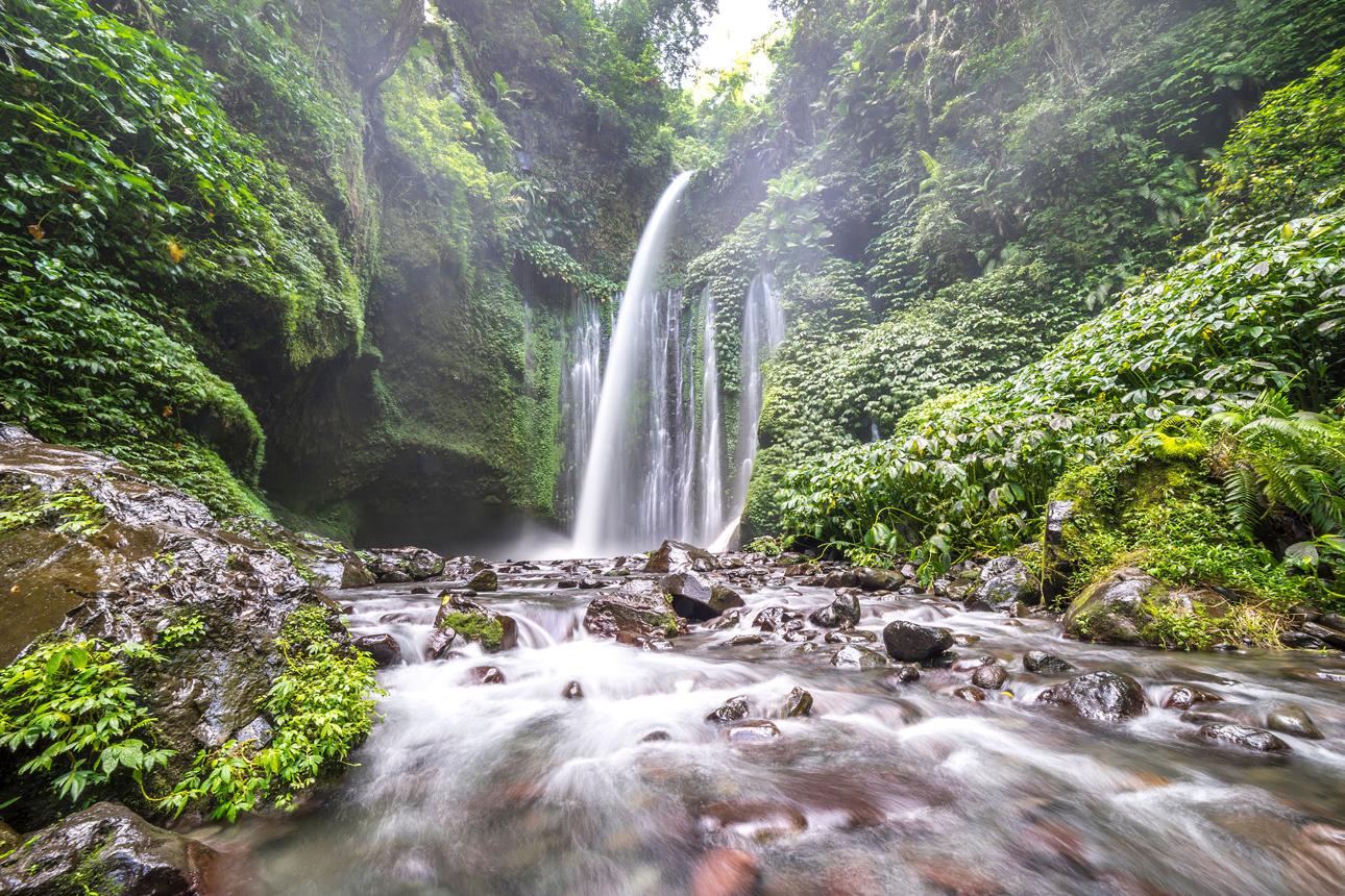 Tiu Kelep Waterfall – Lombok’s Hidden Jungle Waterfall Worth Every Step