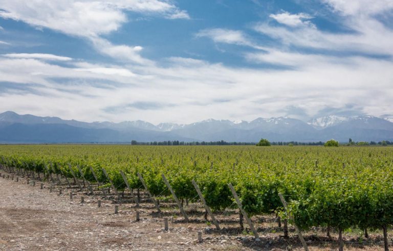 Uco Valley – Argentina’s Spectacular Wine Paradise Beneath the Andes