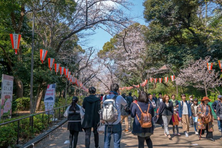 Ueno Park – Tokyo’s Cultural Green Haven of Cherry Blossoms, Historic Museums, Scenic Ponds, and Year-Round Urban Recreation