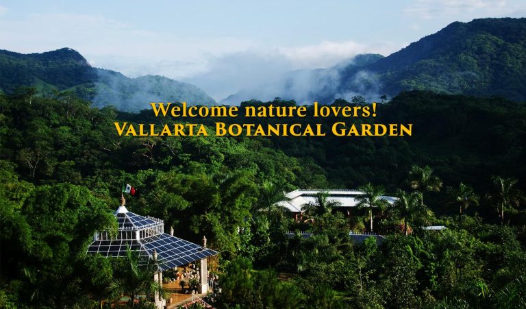 Vallarta Botanical Gardens – Puerto Vallarta’s Tropical Oasis