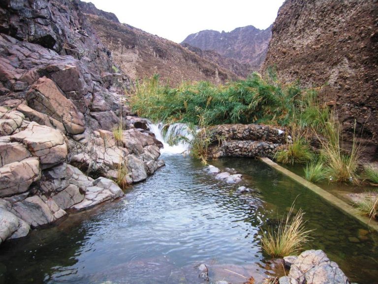 Wadi Wurayah National Park: A Hidden Natural Oasis in the UAE