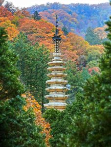 Woljeongsa Temple – Pyeongchang’s Sacred Forest Sanctuary of Ancient Pagodas, Pine-Grove Meditation Paths, Buddhist Heritage, and Mountain Serenity in Odaesan