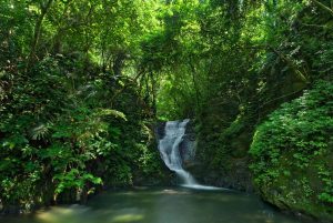 Wufengchi Waterfall – Taiwan’s Scenic Triple-Tier Waterfall Hidden in Yilan