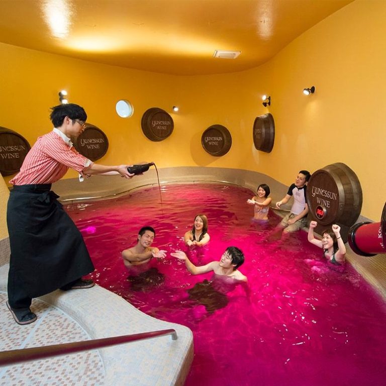 Yunessun Onsen – Hakone’s Themed Hot Spring Water Park