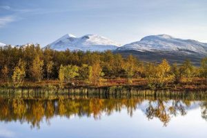 Abisko National Park: Explore Sweden’s Arctic Wilderness and Northern Lights Paradise