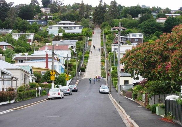 Baldwin Street: Walk the World's Steepest Residential Street in New Zealand