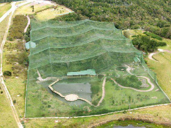 Birds of Eden: Explore the World’s Largest Free-Flight Aviary in South Africa
