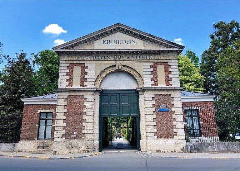 Botanical Garden Kruidtuin: Discover Leuven’s Peaceful Green Oasis