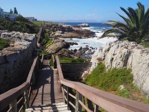 Cliff Path: Explore Hermanus’ Spectacular Coastal Walking Trail