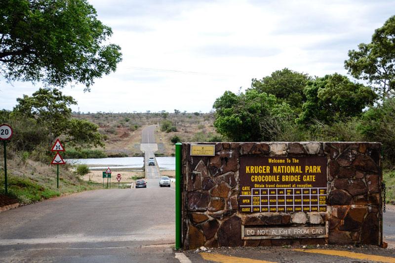 Crocodile Bridge: Your Gateway to Kruger National Park's Incredible Wildlife