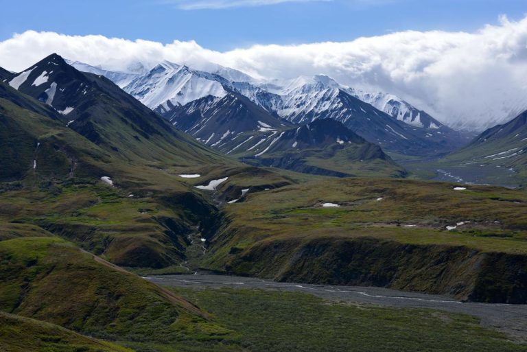 Denali National Park: Explore Alaska’s Untamed Wilderness and North America’s Highest Peak