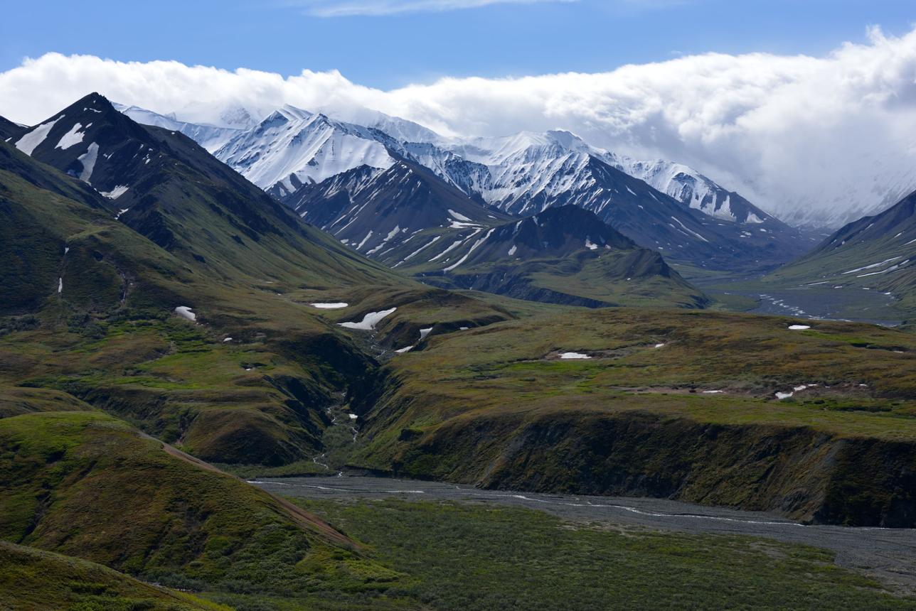 Denali National Park: Explore Alaska’s Untamed Wilderness and North America’s Highest Peak