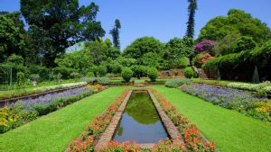Durban Botanic Gardens: Explore Africa’s Oldest Surviving Botanical Garden