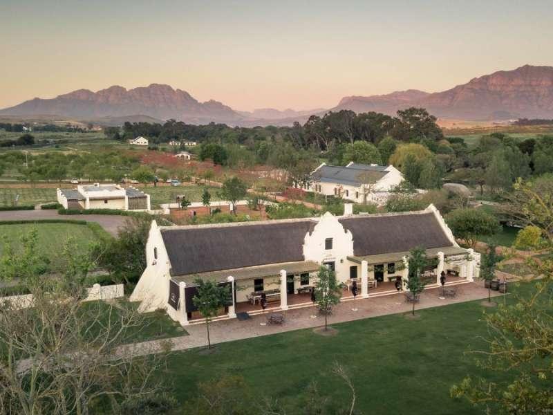 Famous Vineyards in Stellenbosch: Discover South Africa’s Premier Wine Region
