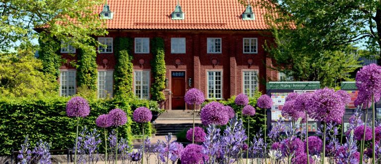 Gothenburg Botanical Garden: Discover Sweden’s Largest and Most Beautiful Botanical Garden