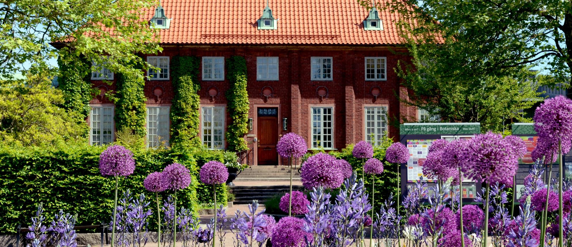Gothenburg Botanical Garden: Discover Sweden’s Largest and Most Beautiful Botanical Garden