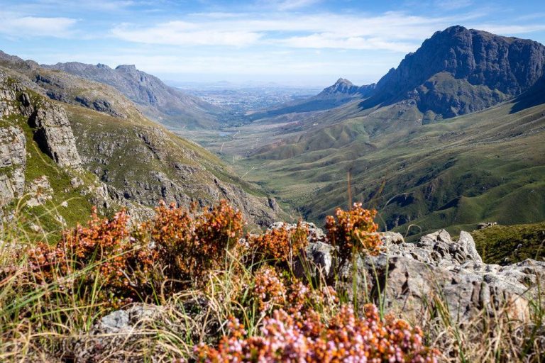 Jonkershoek Nature Reserve: Explore South Africa’s Mountain Wilderness Near Stellenbosch
